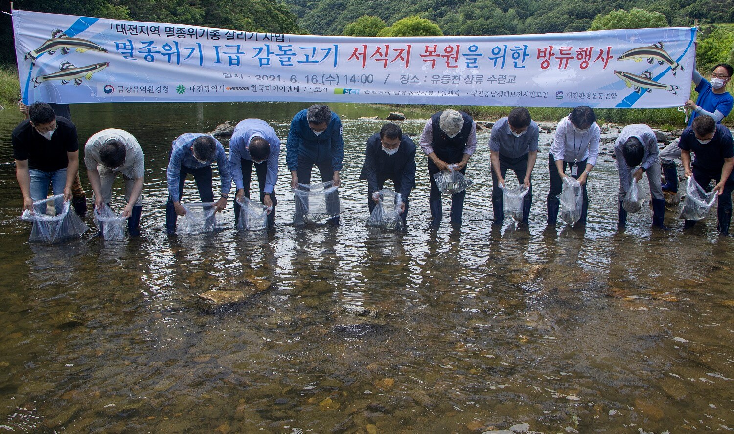 한국타이어대전유등천멸종위기종감돌고기방류행사1